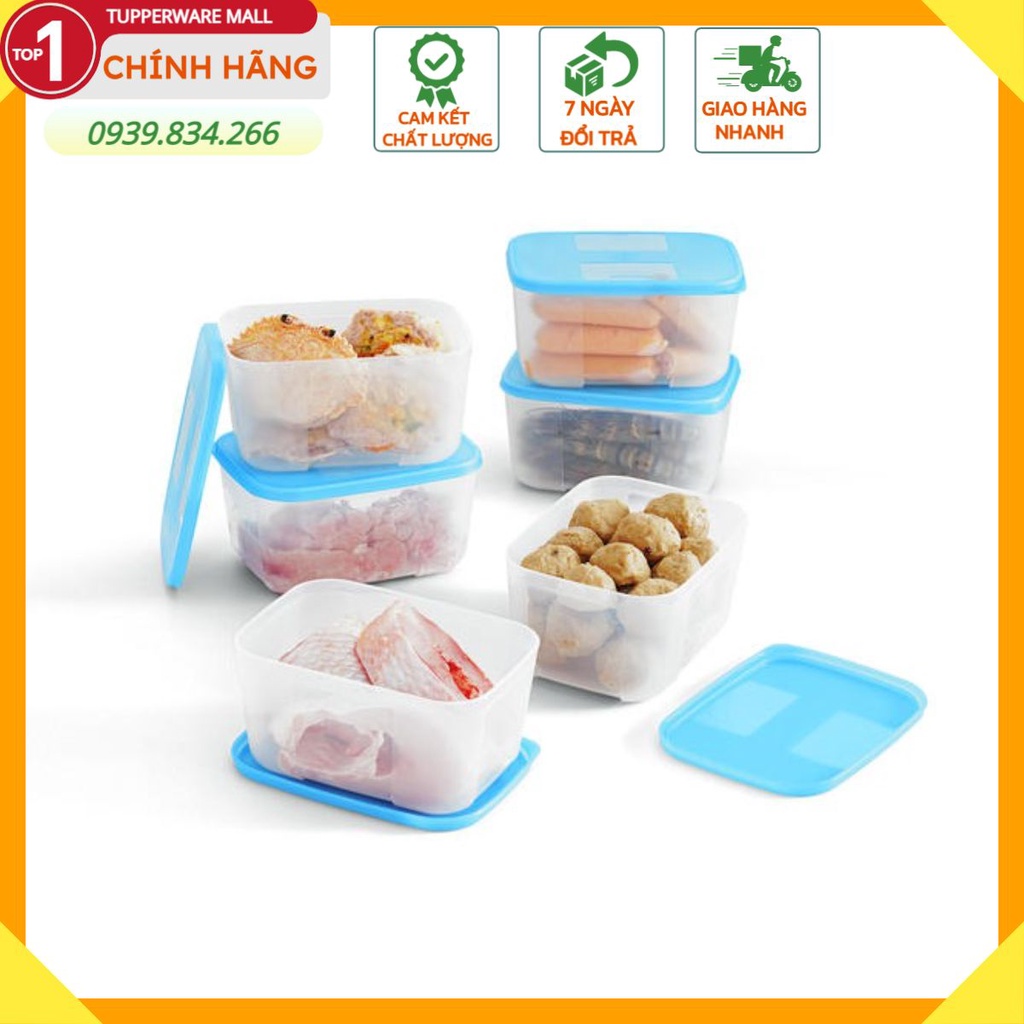 Bộ Hộp Trữ Đông Tupperware Freezermate 650ml