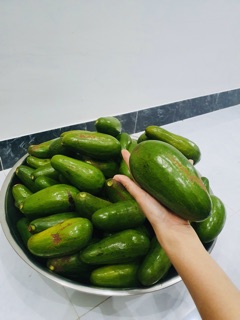 Bơ sáp dak lak size bự 2 3