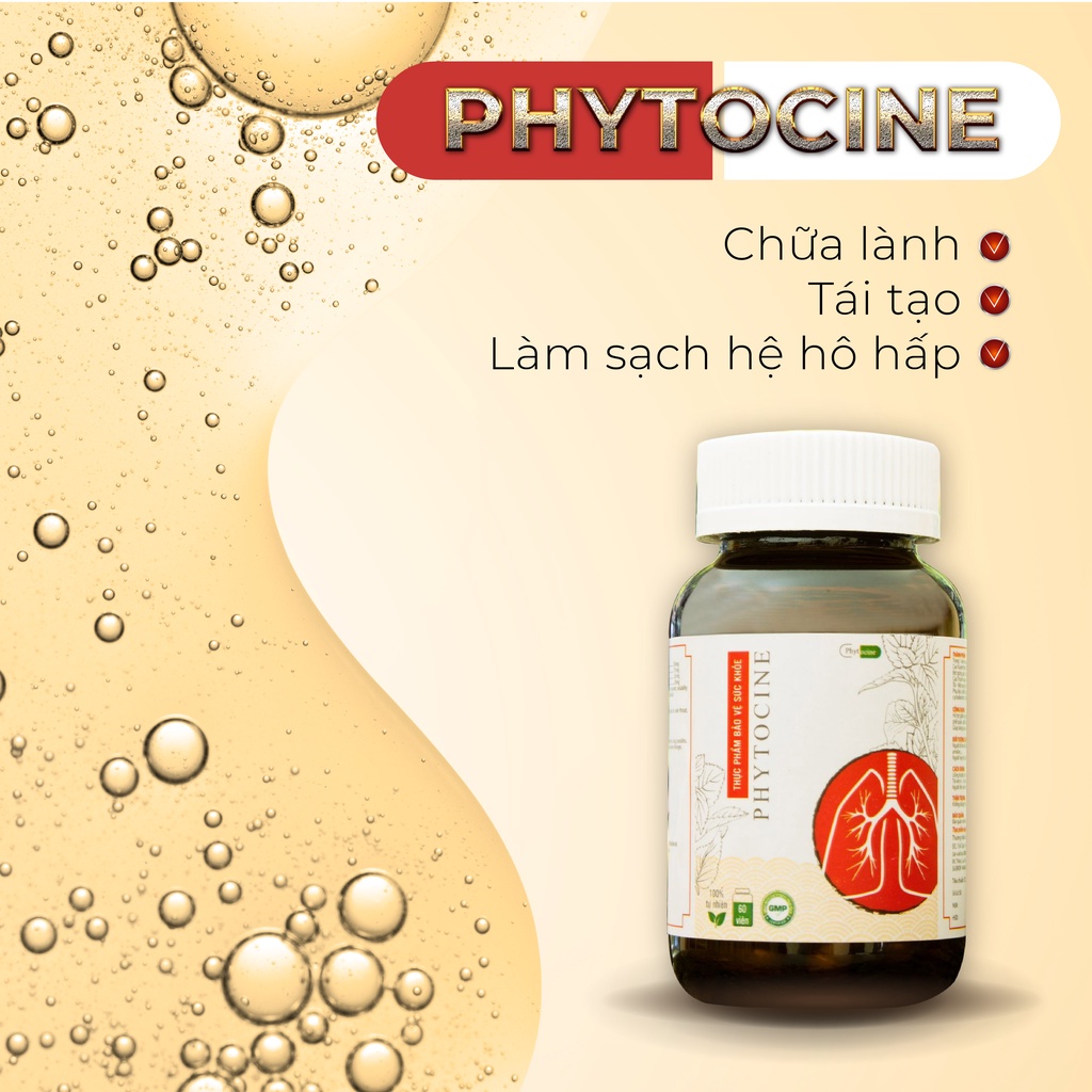 Viên uống chiết xuất xuyên tâm liên phytocine - 3T Đức Thịnh Group - hỗ trợ bảo vệ và chăm sóc hệ hô hấp