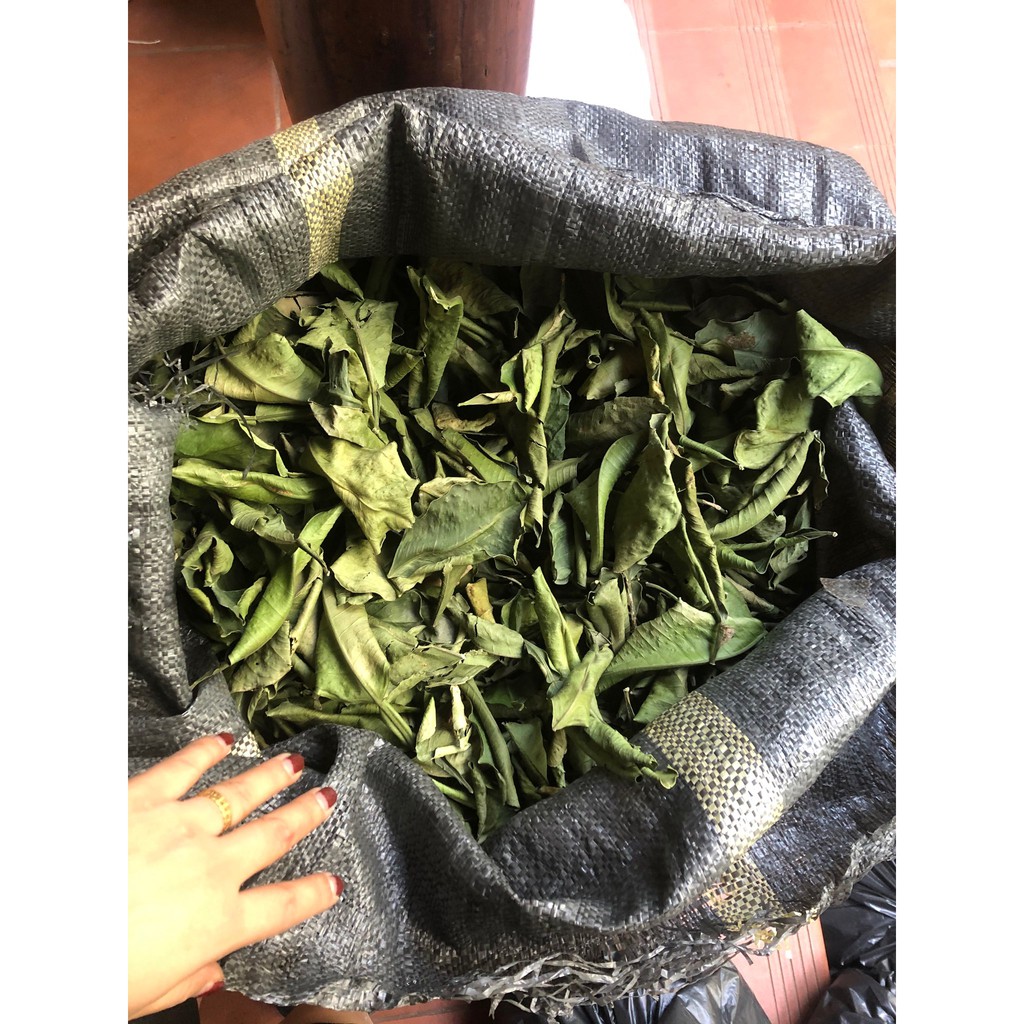 500gr Lá bưởi khô xanh thơm sạch