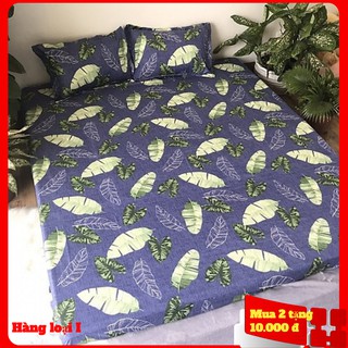 [⇓⇓⇓ SALE ⇓⇓⇓] Bộ ga gối LÁ CHUỐI mẫu mới  đủ kích thước lựa chọn 2020