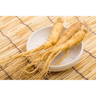 Hạt Giống Nhân Sâm