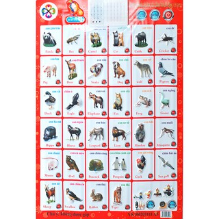 Bảng học phát tiếng màu đỏ cho bé