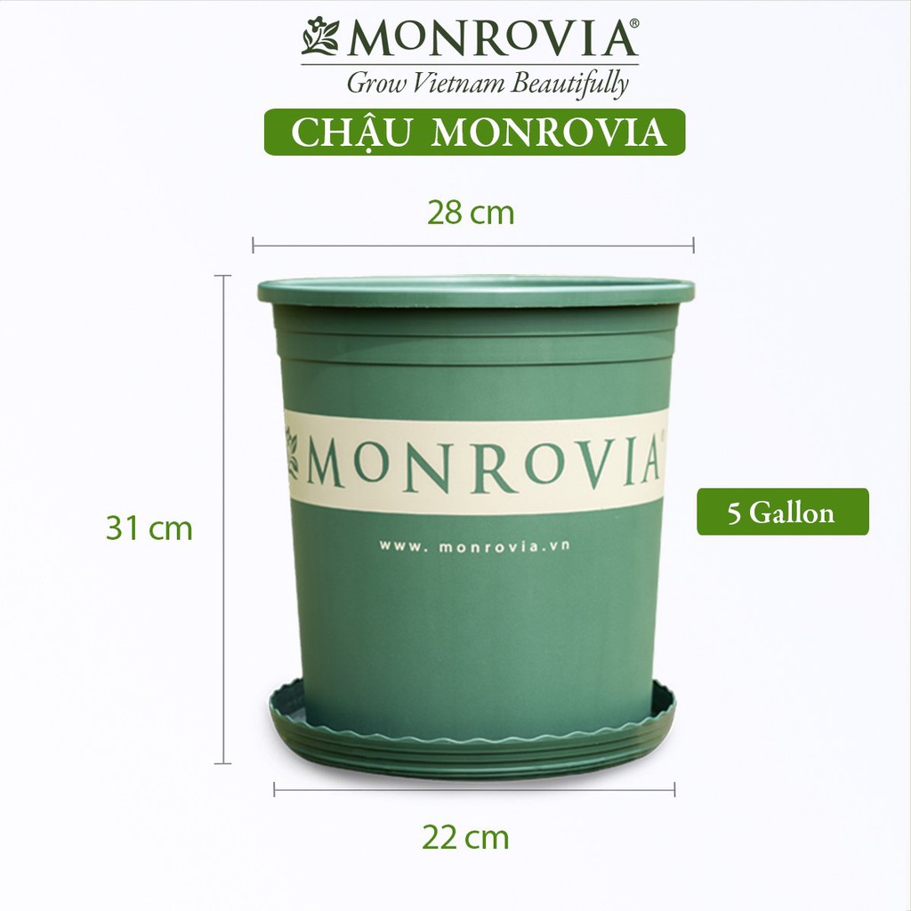 Chậu nhựa trồng cây MONROVIA 5 Gallon để bàn, treo ban công, treo tường, ngoài trời, sân vườn, tiêu chuẩn Châu Âu