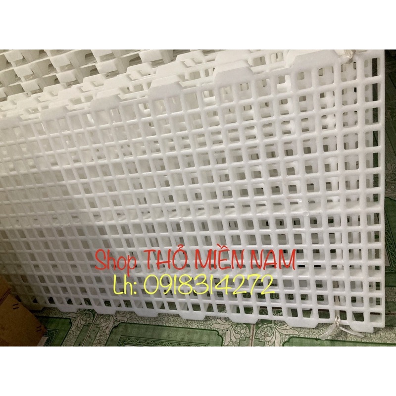 Sàn Nuôi Dê, Vịt, Chồn Hương, Chó-Mèo