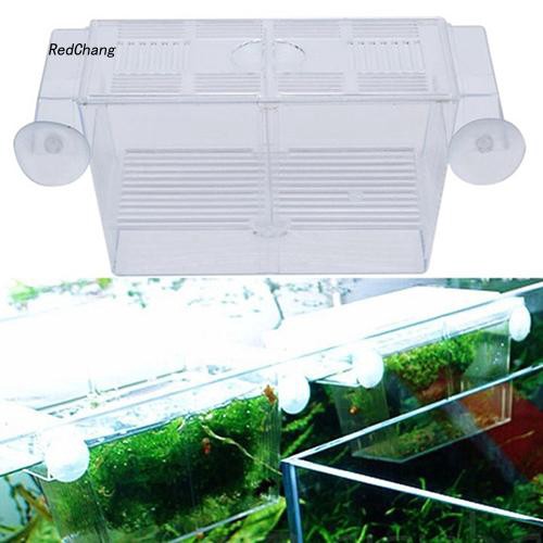 Hộp acrylic trong suốt 2 ngăn cách ly chuyên dụng cho bảo vệ cá cảnh