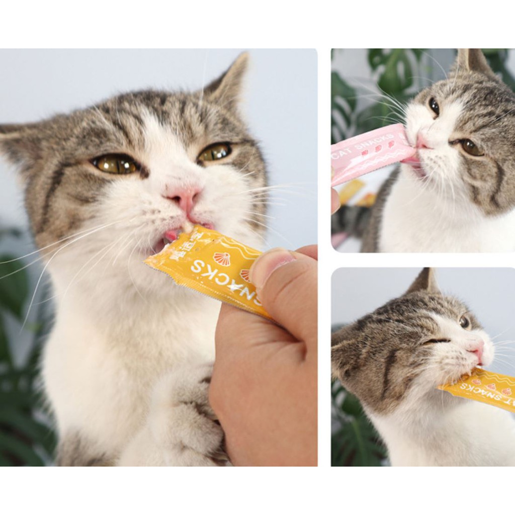 Súp thưởng cho mèo Cat Snack và Shizuka- soup thưởng gói15g đủ 3 vị siêu thơm ngon - Nà Ní Pet Shop