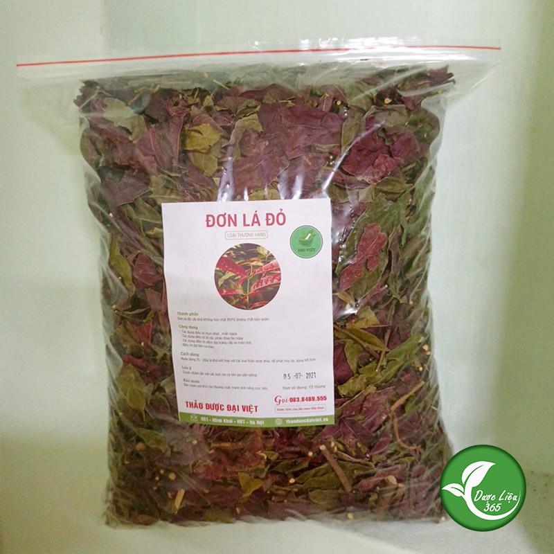 Đơn Lá Đỏ (1kg) - Tốt cho người mề đay, mẩn ngứa, tiêu hóa kém