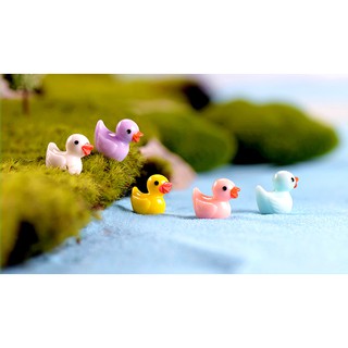 [Tiểu Cảnh] ❤❤Vịt Con Đáng Yêu❤❤ Phụ Kiện Trang Trí Tiểu Cảnh Sen Đá, Terrarium, Decord Mô Hình