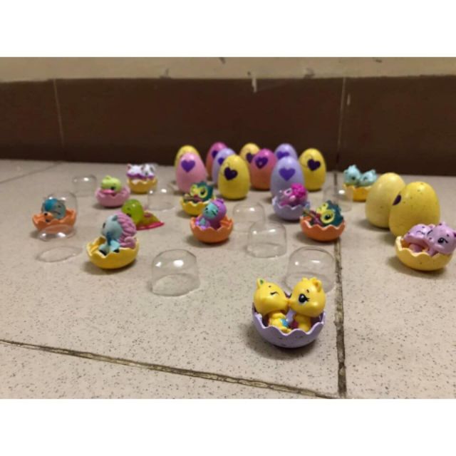 Combo Hatchimal trứng và hình