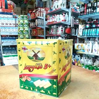Hộp 10 cái lương khô 5+ Hải Châu .