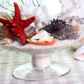 BỂ CÁ CHẬU CÂY THỦY TINH CÓ CHÂN