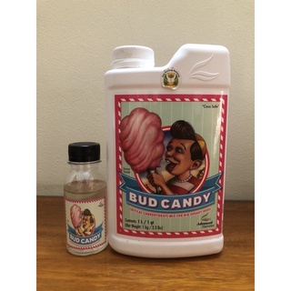 Kích mùi tự nhiên - bud candy