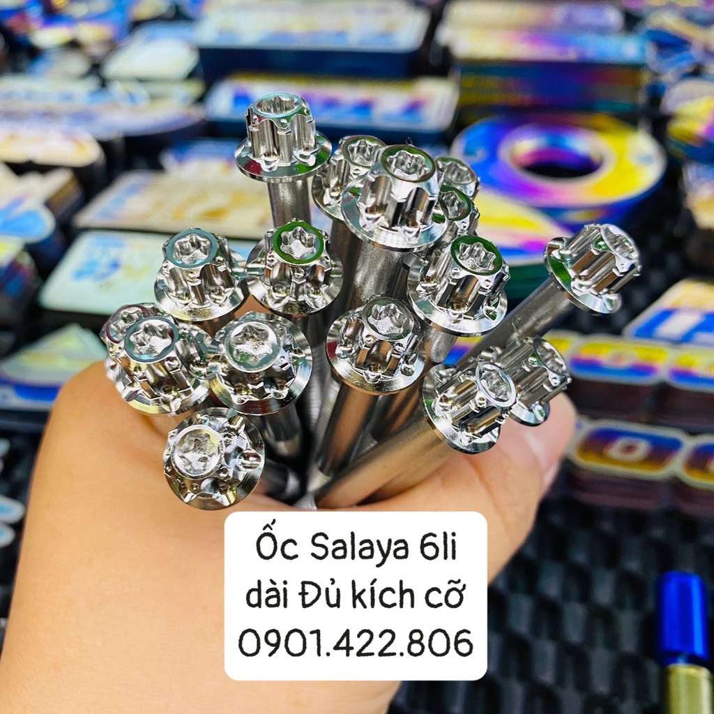 Ốc Salaya Inox 304 6li chiều dài đầy đủ xe