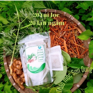 NGÂM CHÂN THẢO DƯỢC THẢI ĐỘC THẢO MỘC SƠN DUNG (Thảo Mộc Sơn Tùng), Hộp 20 túi lọc,NC0.5&1