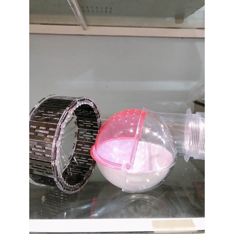 Combo nhà tắm hamster và wheel ( màu wheel tuỳ chọn)