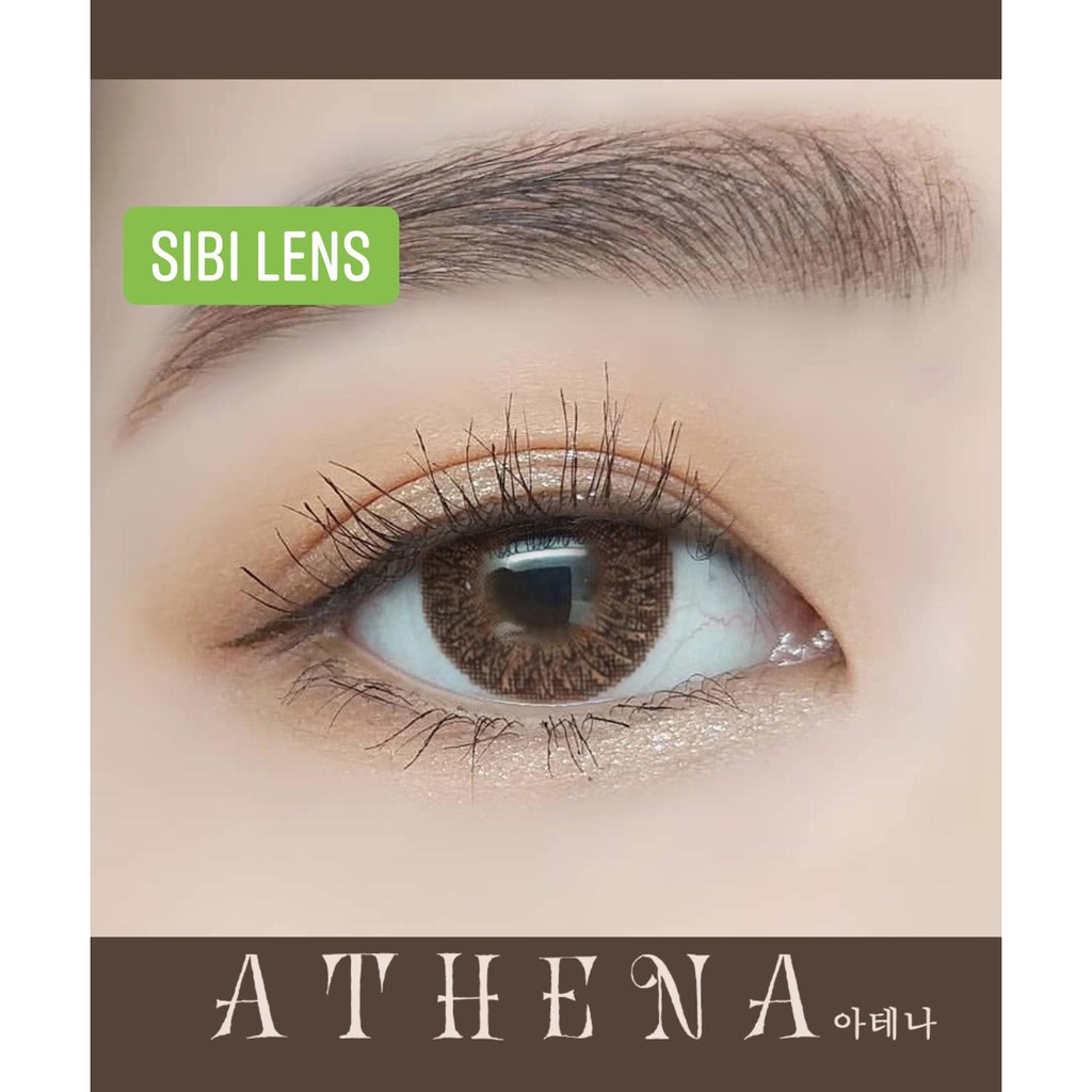 Lens Athena Brown - Lens Chuẩn Thái  - Cam Kết Chính Hãng