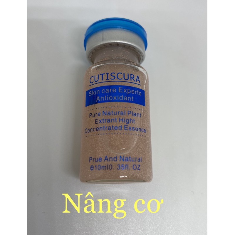 tế bào gốc cutiscura