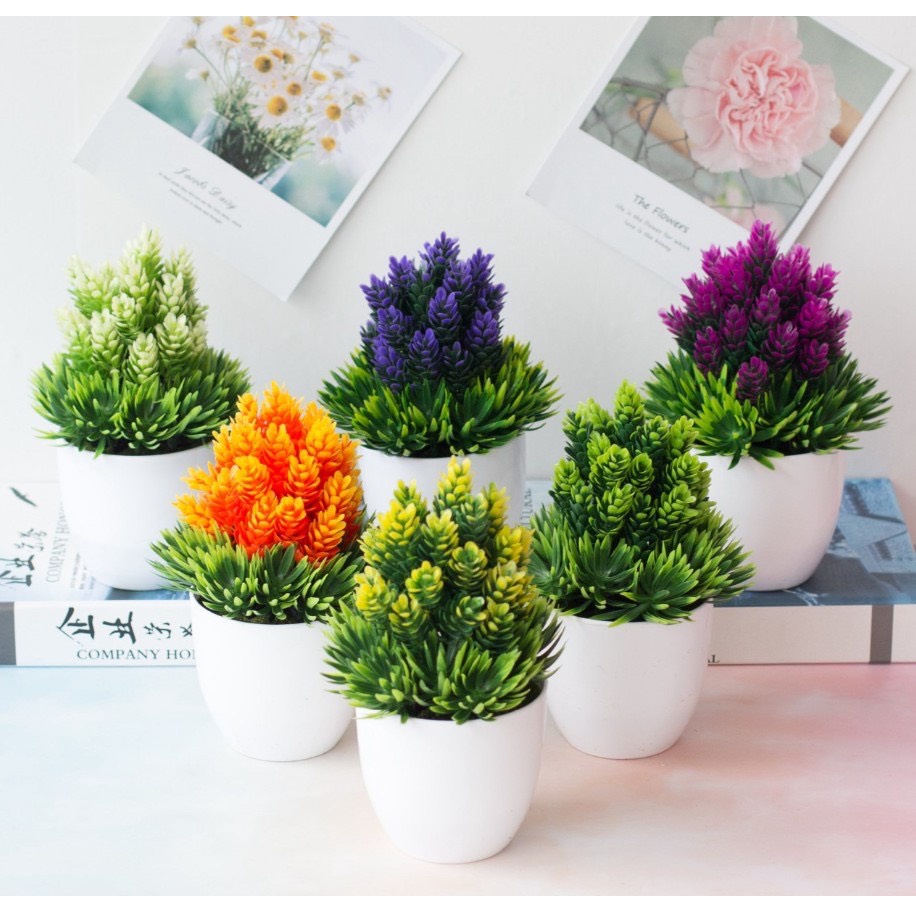 Chậu cây hoa cỏ cao giả 2 màu trang trí để bàn CC123