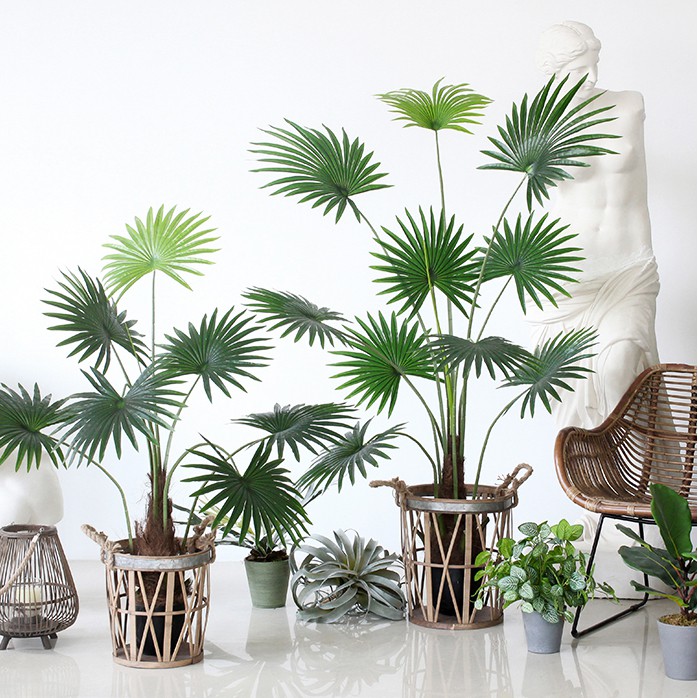 Cây Cọ Giả bằng nhựa trang trí nhà cửa - 175cm - CC286 - Jassi Decor