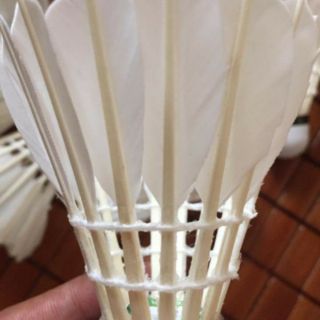 Cầu Lông Lucky xanh