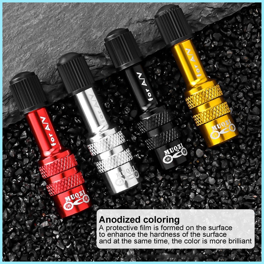 Van Bơm Hơi Bằng Hợp Kim Nhôm Cho Xe Đạp