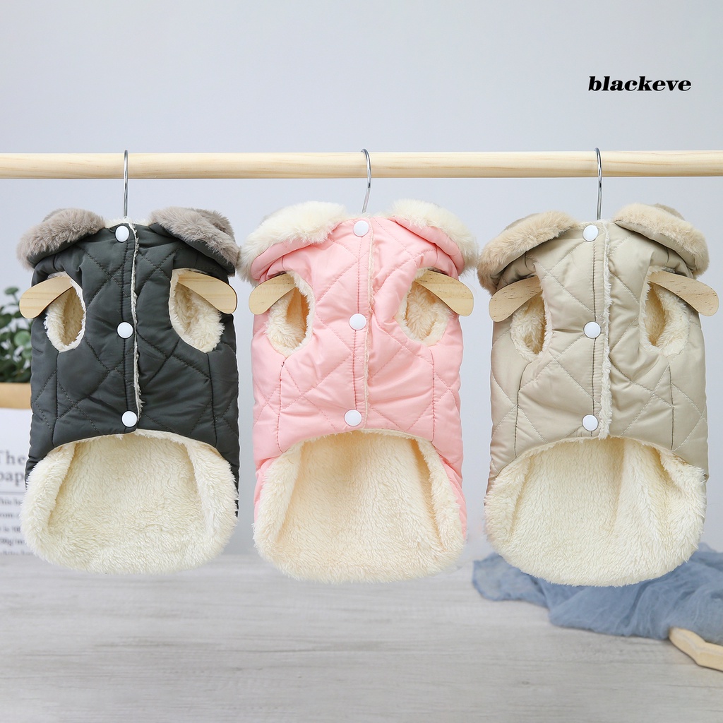 Áo khoác giữ ấm màu sắc xinh xắn dành cho thú cưng