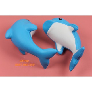 SquiShy cá heo