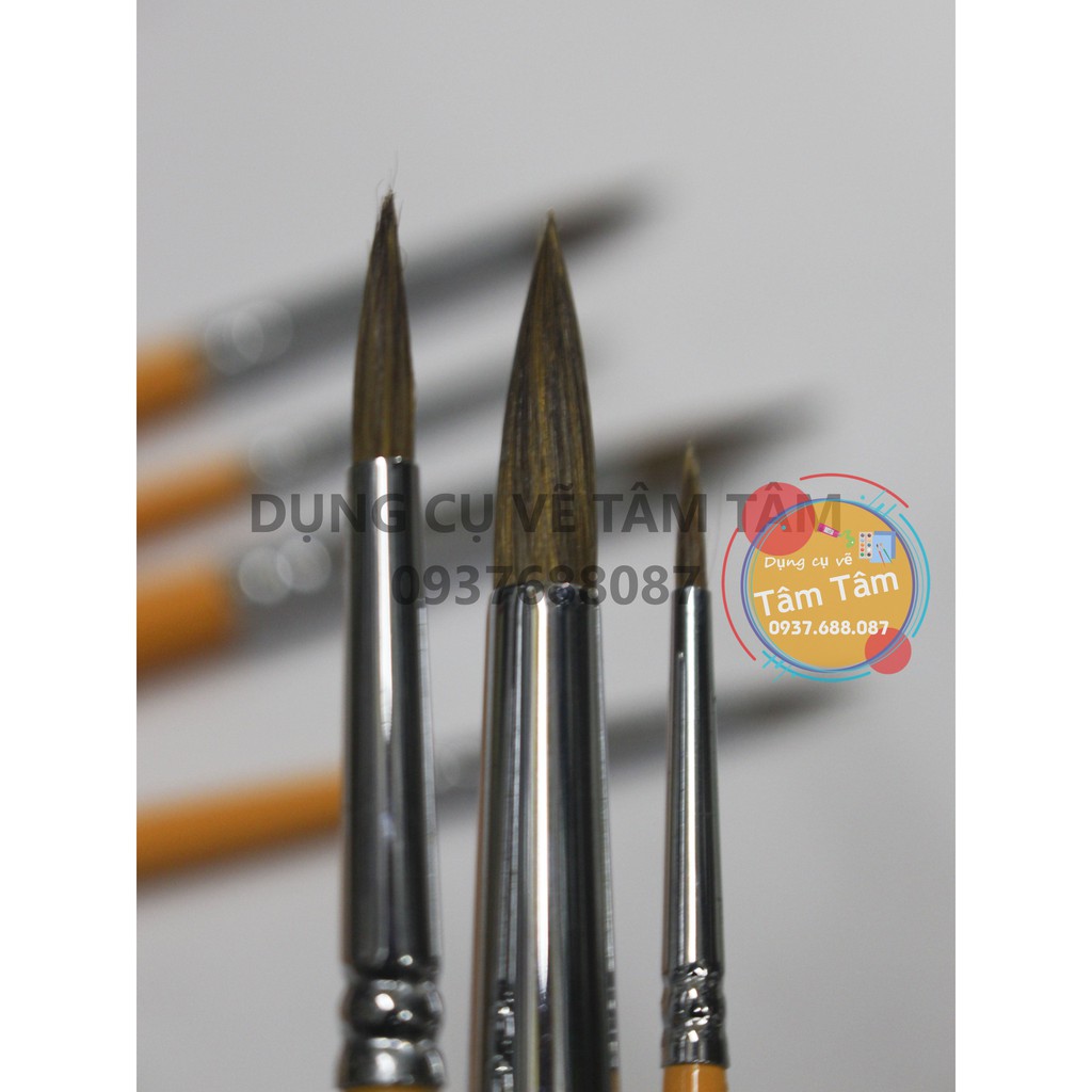 [ TÂM TÂM ]-Bộ cọ vẽ Phoenix 8805S-7 - Cọ lông sóc - (Cọ đầu nhọn)-