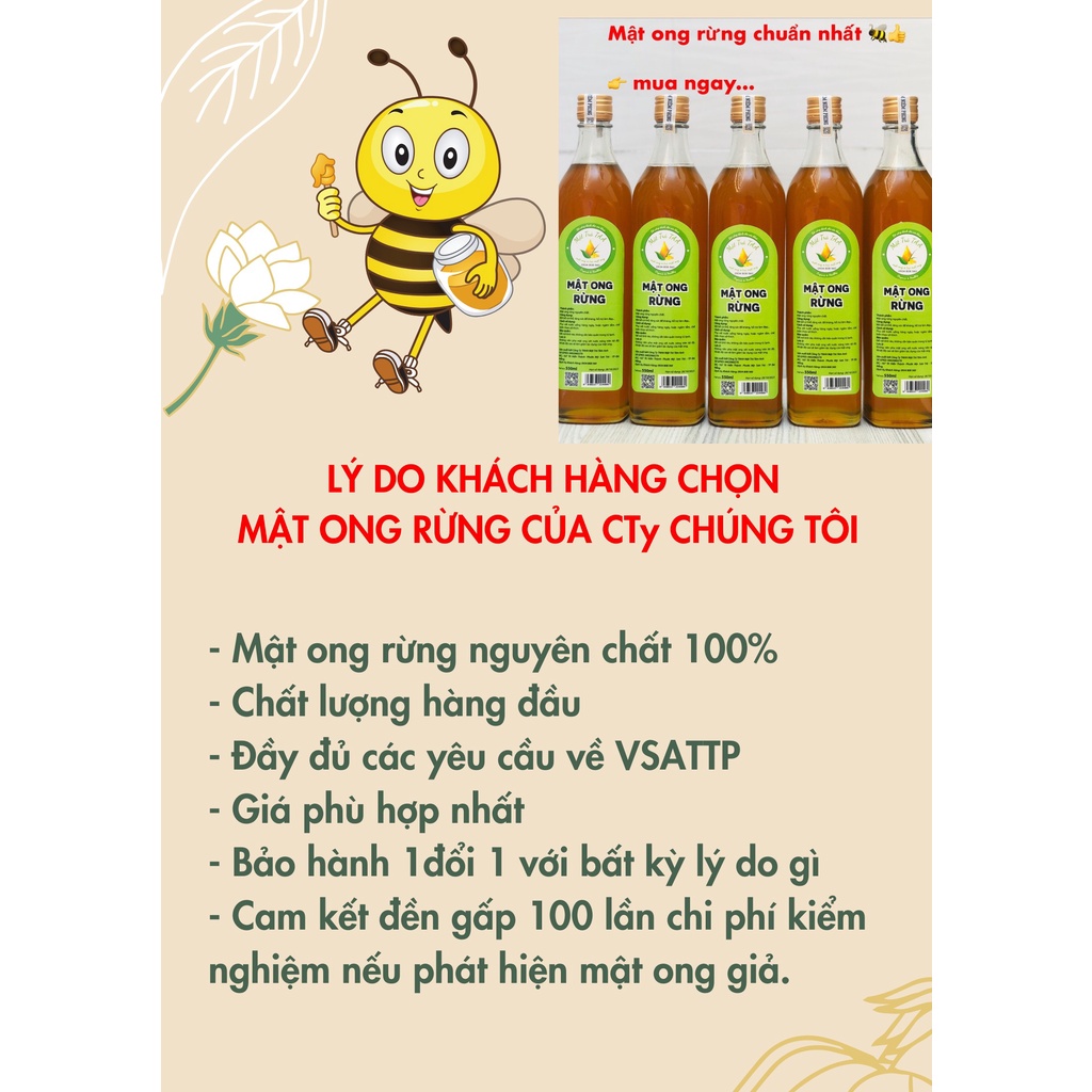 [ Mật cao cấp ] Mật ong rừng nguyên chất, mật ong rừng tự nhiên được khai thác từ Tây Bắc và Tây Nguyên. | BigBuy360 - bigbuy360.vn