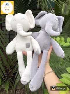 Thỏ, Gấu bông thú cho bé yêu
