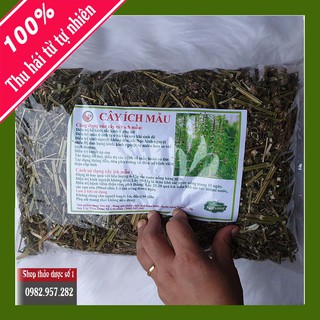 Cây ích mẫu điều trị rối loạn kinh nguyệt, bế kinh, tắc kinh -1kg SP Của CTY Thảo Dược Số 1