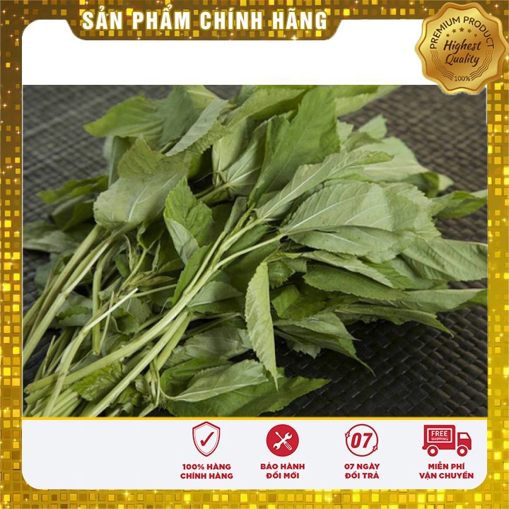 Hạt giống rau đay xanh rau đay trồng gia đình hat giong rau day xanh 20 gram