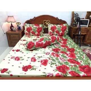 Bộ ga thun hàn quốc 1m6