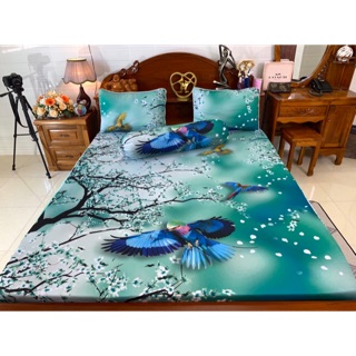 Drap thun lạnh Ý 5 D