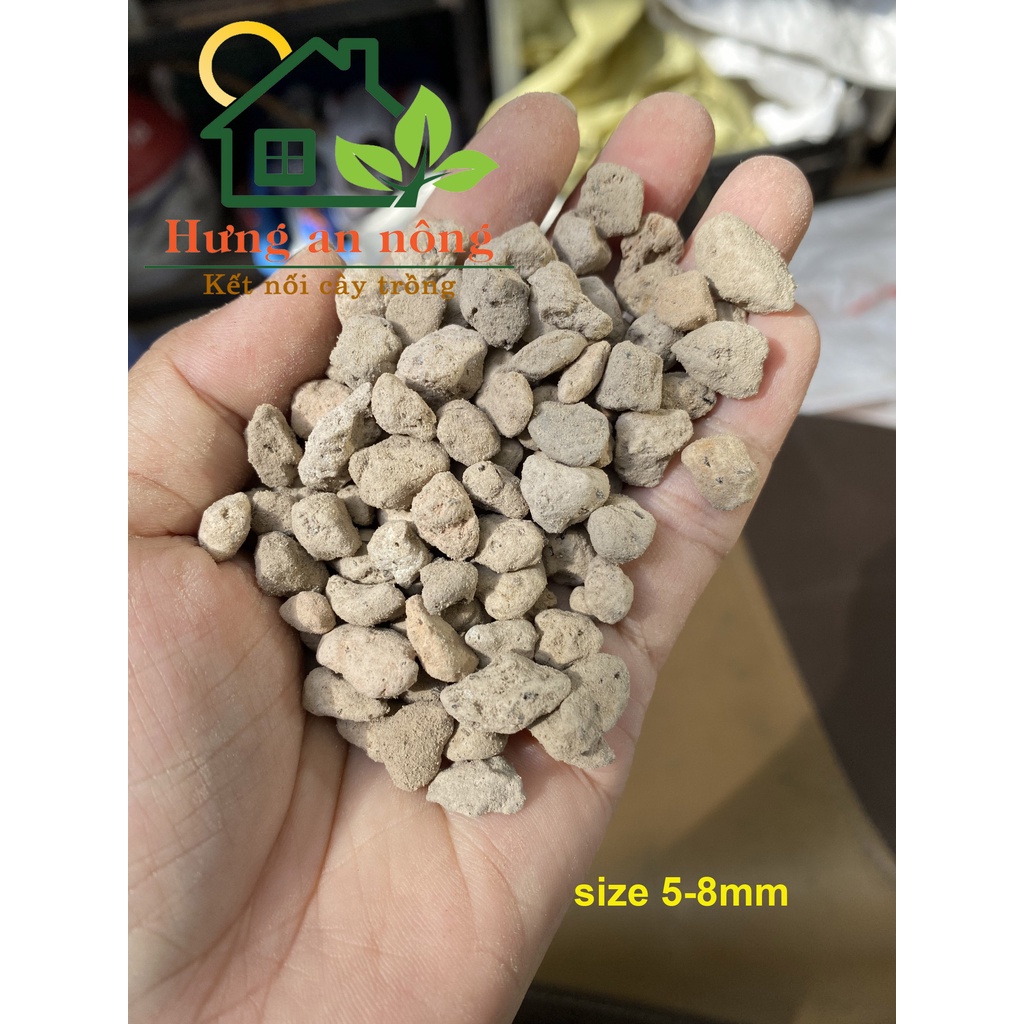 1kg Đá Pumice xám, đá lông vũ , đá bọt nhập khẩu Indonesia size trồng sen đá xương rồng bonsai các loại, có 3 size