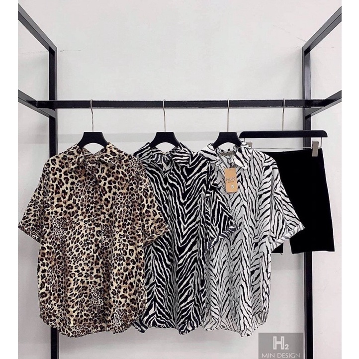 Set bộ áo sơ mi báo đốm ❤️ áo sơ mi ngựa vằn tay lỡ + quần đùi legging