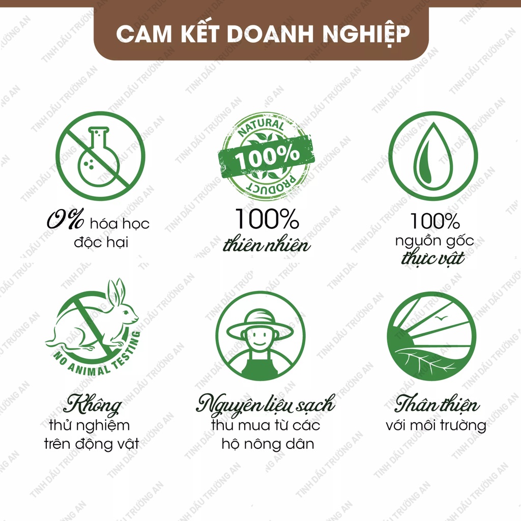 Tinh dầu Tràm Trà Tea Tree Essential Oil, xuất xứ từ thiên nhiên, có kiểm định