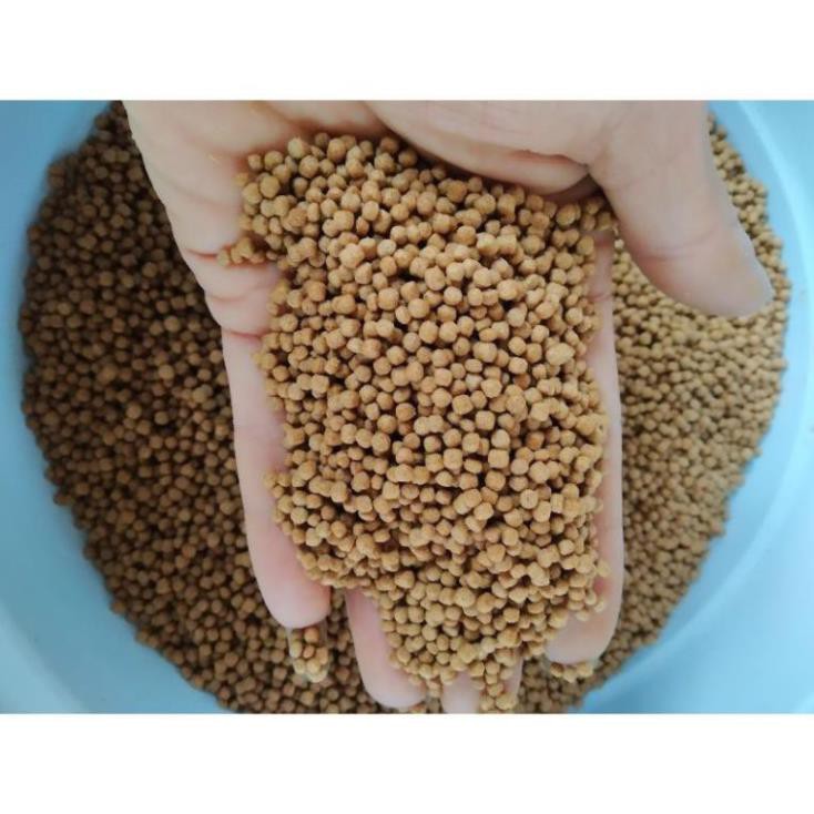 MAUH Cám max tanh (Cagill- Aquaxcel) 1mm đến 3mm chuẩn nuôi cá vàng ,cá koi. mồi câu rô, chép