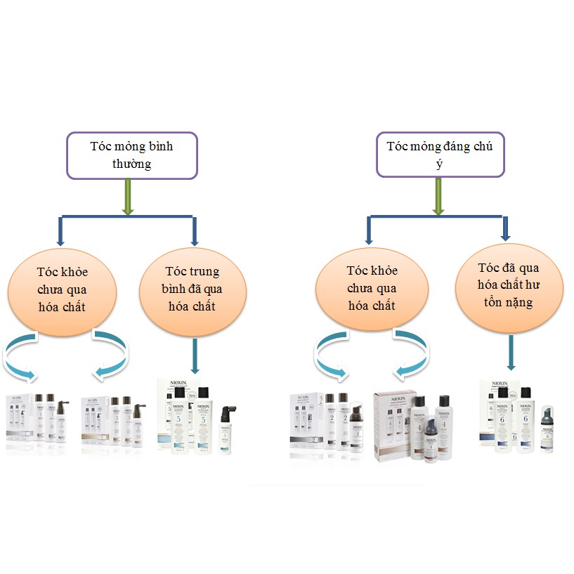 LẺ DẦU GỘI HOẶC DẦU XẢ NIOXIN 300ml  1000ML (SỐ 1, 2, 3, 4, 5, 6)