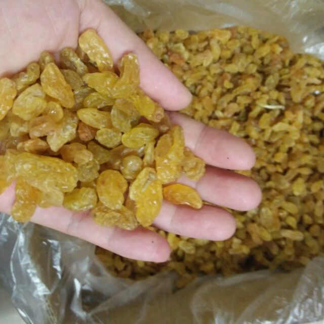 Nho vàng ấn độ