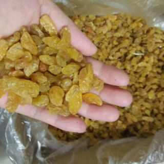Nho vàng ấn độ