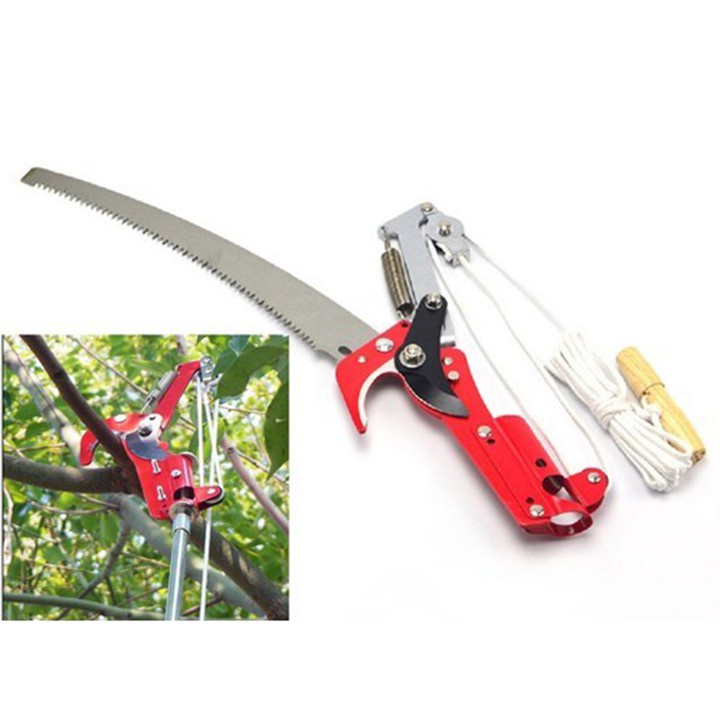 Đầu kéo cắt tỉa cành cây trên cao, hái quả đa năng