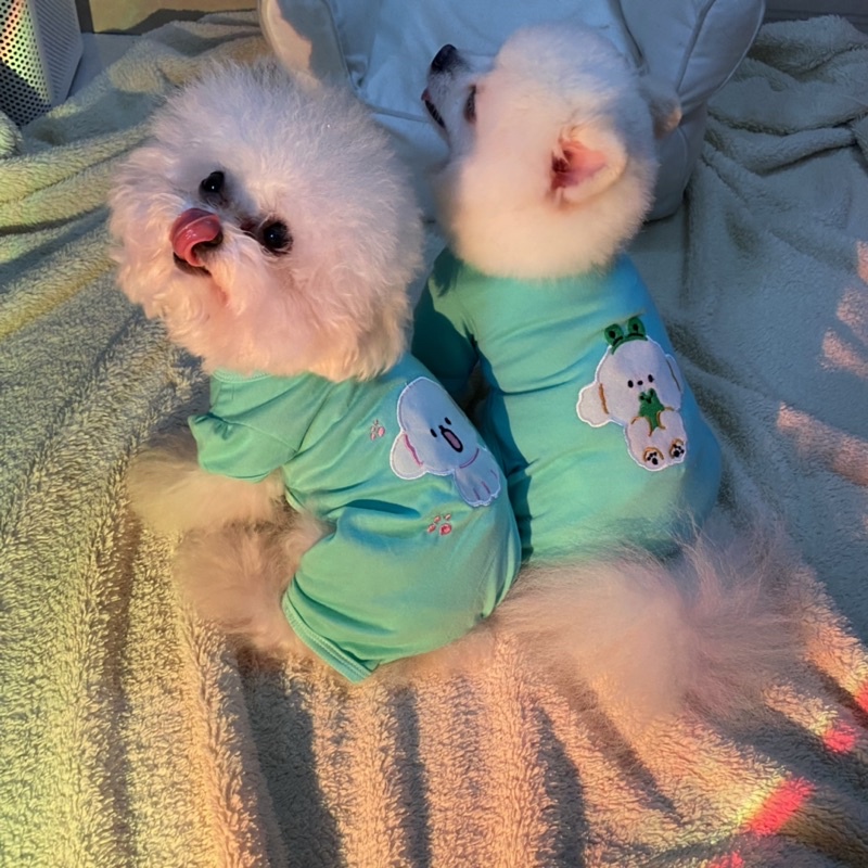 Jumpsuit cho cho mèo 2022