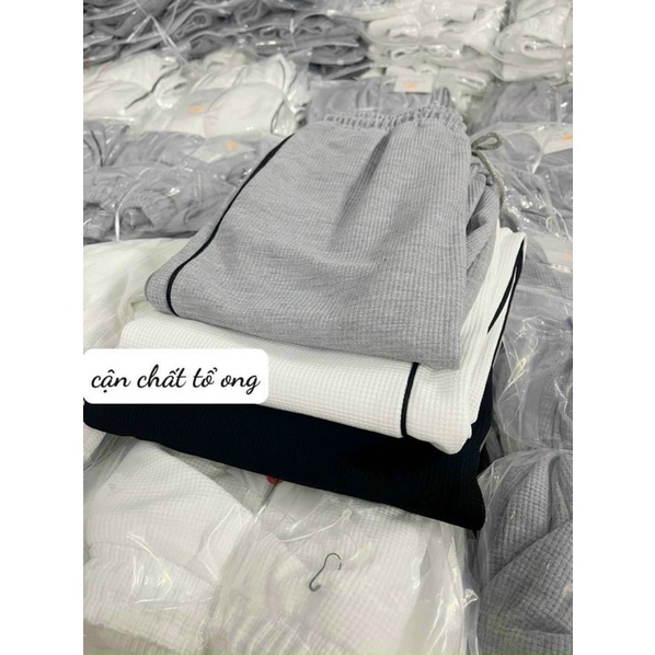 Quần Bomber Unisex Bo Gấu Nữ sọc đen trắng thể thao m606