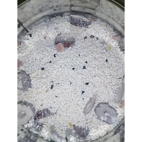 Bột củ sen hoa quế hiệu Meizoushike hộp 500gr [Màu xanh rêu M3]