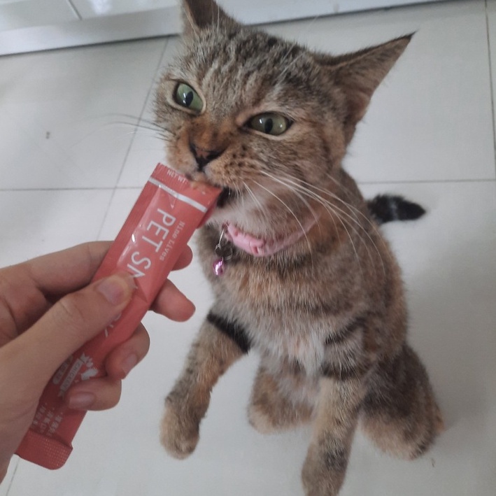 SÚP THƯỞNG CHO MÈO Shizuka cho mèo Thanh 15g