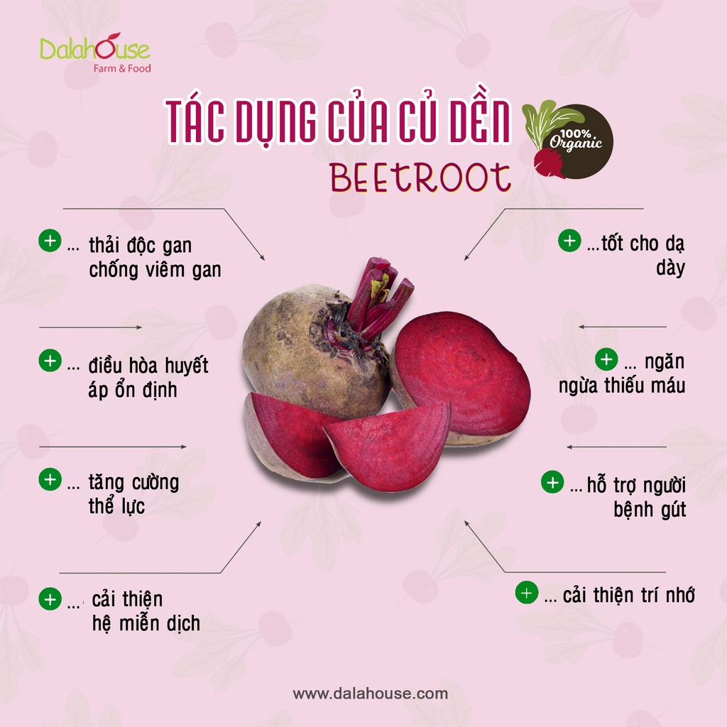 Bột Củ Dền Hữu Cơ Nguyên Chất Sấy Lạnh Dalahouse