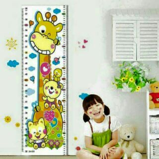 Decal thước đo chiều cao
