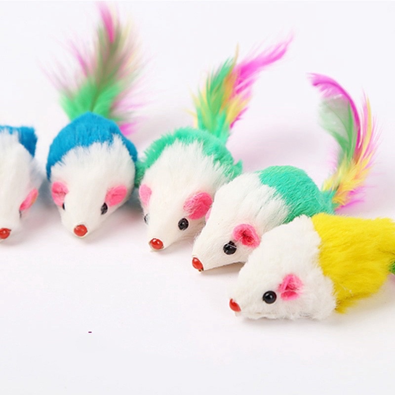 Chuột lông vũ đồ chơi cho mèo🐹